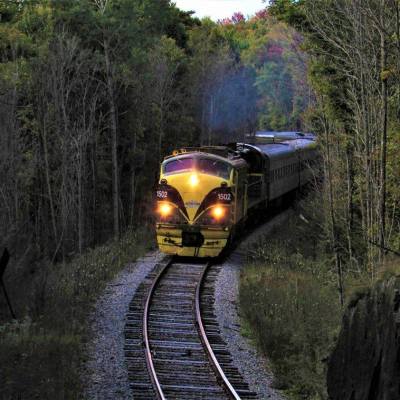 a train traveling down train tracks near a forest