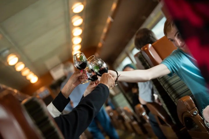 People toasting with wine glasses on a train.