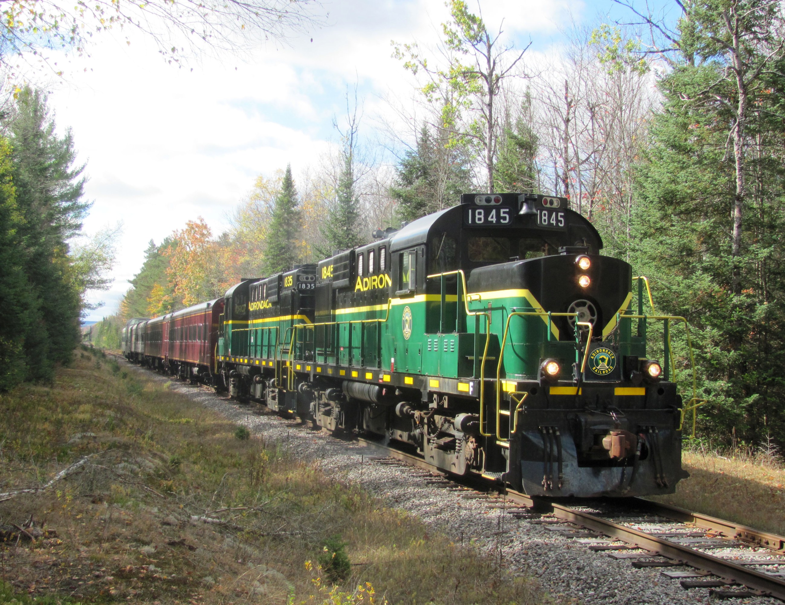 Green locomotive train on a track through a forested area