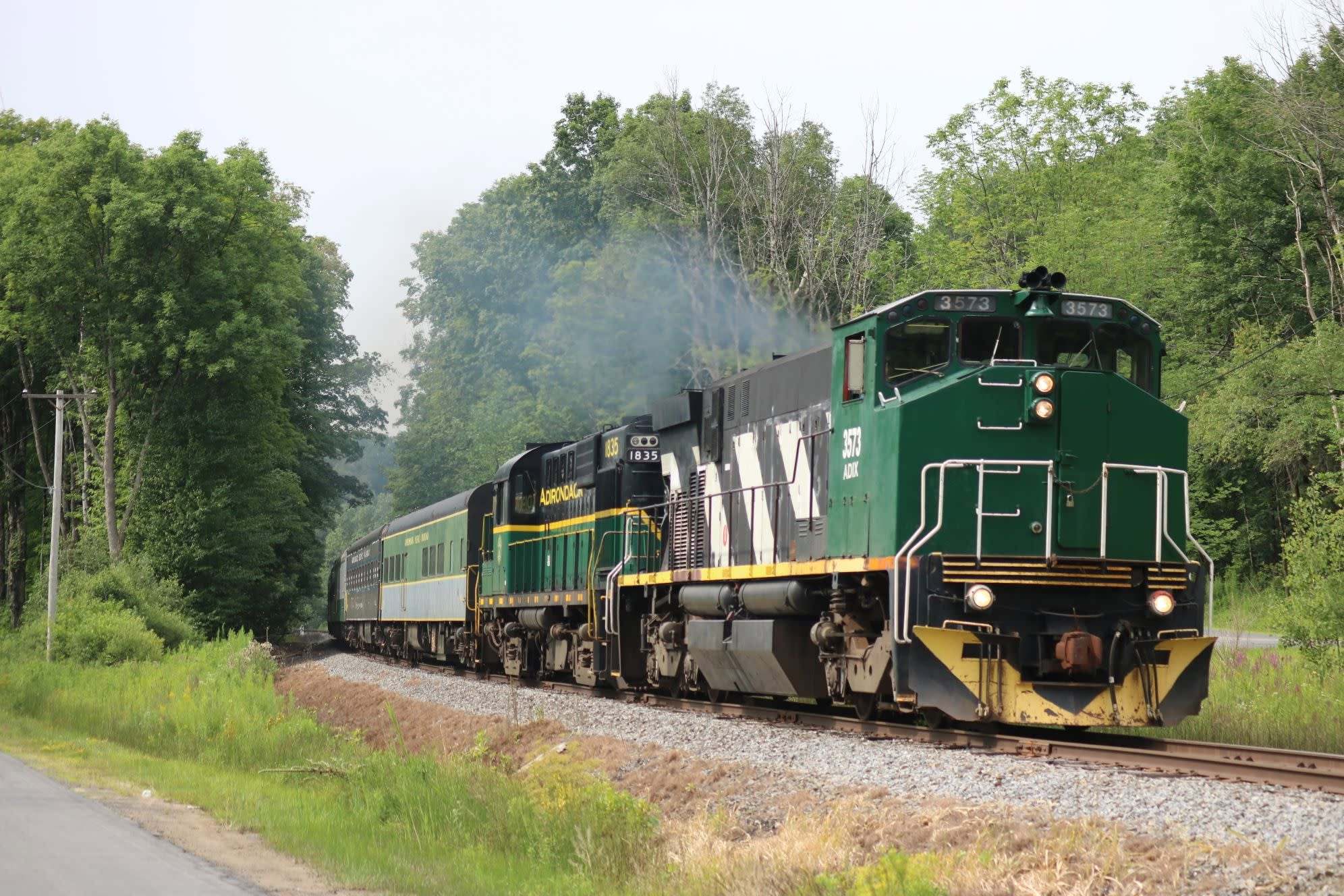 Green diesel train traveling on tracks through a forested area.